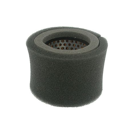 Filtro aire Robin 106-327-0407