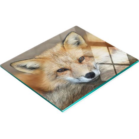 Tabla de cocina de vidrio templado duradera y elegante con estampado de zorro, 60x52 cm. (1/5)