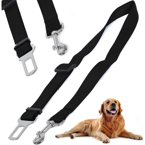Cinturones para perro (360) GABA (1/5)