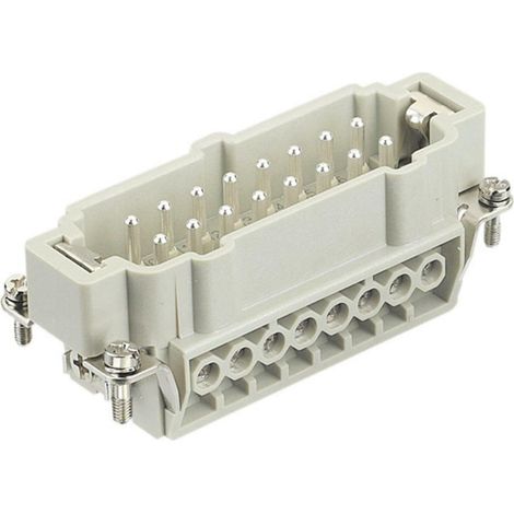 Scame inserto maschio 16 poli  inserto portacontatti per connettori 933.0162601 (1/2)