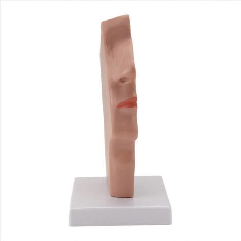 Nettoyant pour fer à souder en acier avec support, jeu de 5 pièces, fil de nettoyage pour soudure, accessoire de soudage professionnel, pratique et durable (1/5)