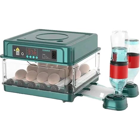 Incubateur automatique, capacité 36 œufs, pour œufs de volaille, 220V, pour l'incubation à domicile et l'élevage contrôlé de volailles.-AquaForge