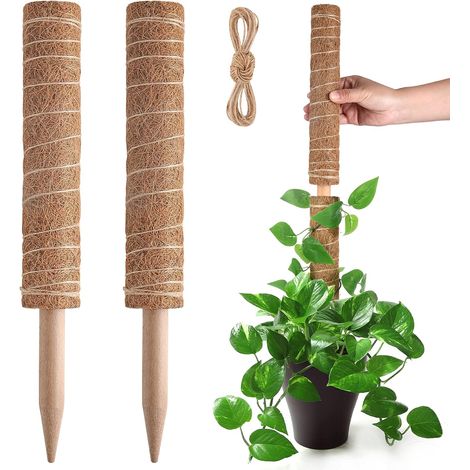 Palo di muschio, supporto estensibile per piante, tutori per piante in vaso da interno, traliccio in fibra di cocco da 40 cm per Pothos e altre piante rampicanti (1/5)