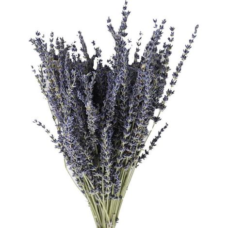 Bouquets de lavande naturelle, tiges séchées fraîchement coupées de 200 g