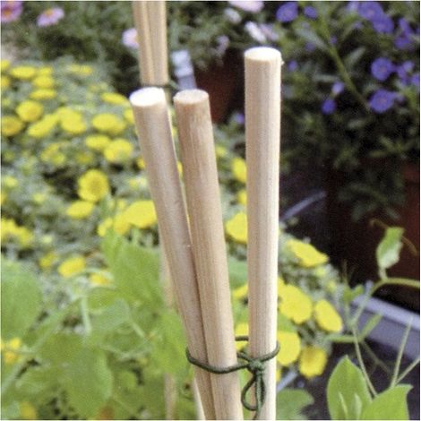 Flower Stick 15 Bastoncini di Bambu' Naturale H50 cm Verdelook (1/2)