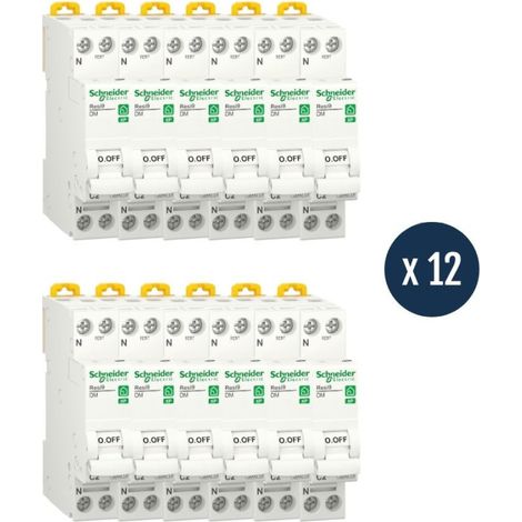 Lot de 12 disjoncteurs modulaires - 1P + N - 16 A - Courbe C - Peignable - Resi9 - R9PFC616-12 - Schneider