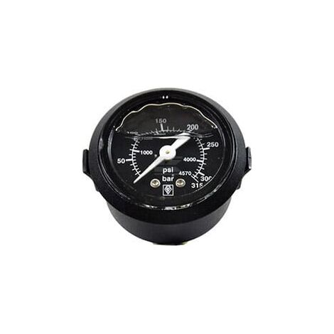 Manomètre KÄRCHER 64211700