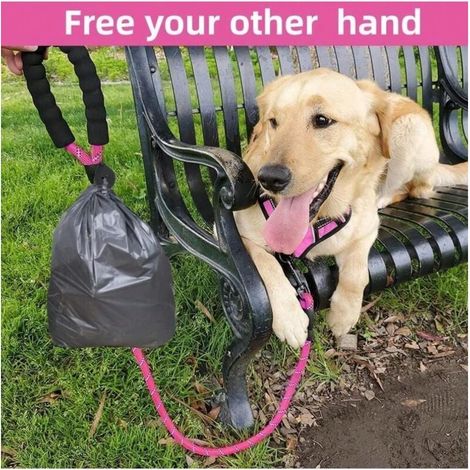 Laisse pour chien, laisse en nylon avec poignée rembourrée et fil réfléchissant, laisse pour chien solide de 1,5 m pour chiens de taille moyenne et grande, rose (1/4)