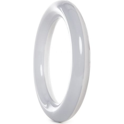 LED-Röhre 12W 1.050Lm 6000ºK Rund Ø22,5Cm 40.000H [EA-DY-CI-225-12W-CW] (1/3)