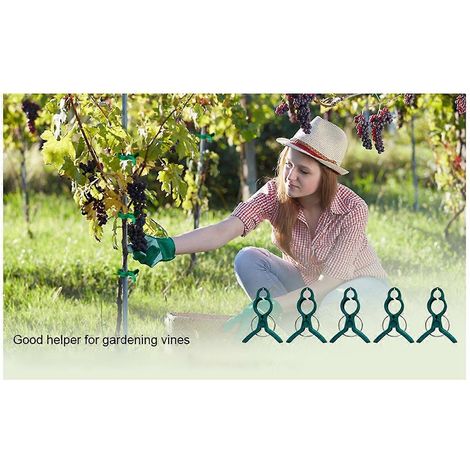 Große grüne kleine sanfte Gartenpflanzenklemmen
