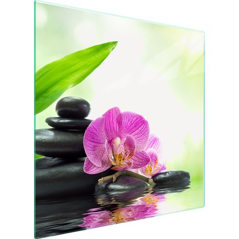 PLACA PROTECTORA DE VIDRIO PARA ESTUFA 50x52 ORQUÍDEA (1/5)