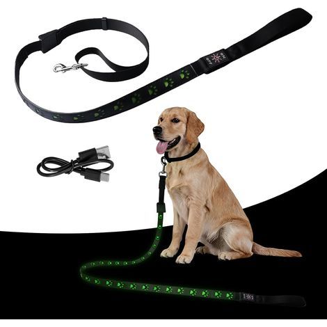 Laisse pour chien à LED de 1,2 m - Rechargeable par USB - Réfléchissante - Convient pour les grands animaux de compagnie de taille moyenne et petite - Vert (1/5)