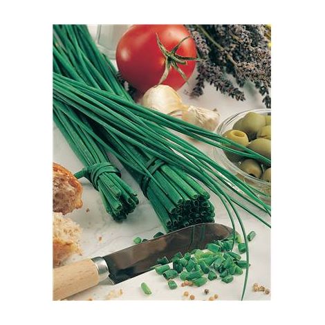 CIBOULETTE CHINOISE - 1 G