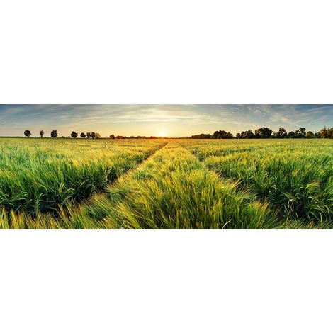 Tableau paysage champ de blés verts au coucher du soleil - 80x30 cm (1/5)