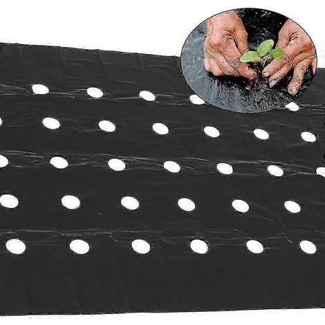 Paillis plastique noir perforé avec trous de plantation, 94,5 x 10 mètres (3,1 x 32,8 pieds). Film plastique noir gaufré, paillis perforé pour serre, film de désherbage (compatible avec les plantes de (1/5)