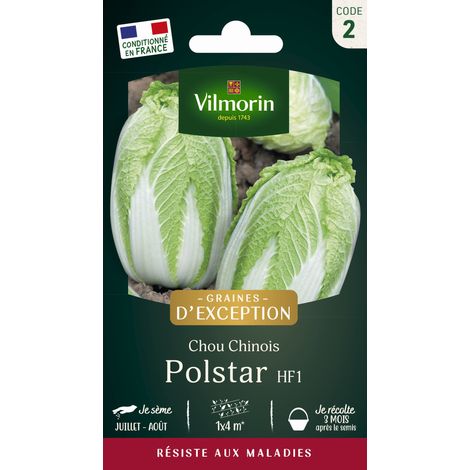 Chou Chinois Polstar HF1 - Graines d'Exception Vilmorin (1/2)