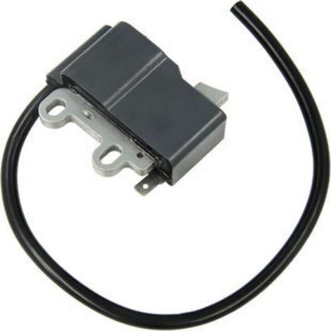 Bobine d'allumage haute tension compatible avec A411000500, A411000501, ES-250, PB250LN (1/3)
