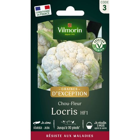 Sachet de graines Chou Fleur LOCRIS  HF1 - Création Vilmorin (1/2)