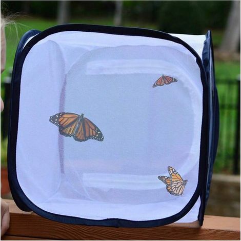 Jaula para mariposas y insectos plegable (30 x 30 x 30 cm) (1/4)