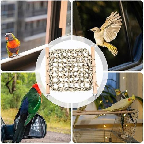 Les perchoirs pour cages à oiseaux conviennent aux perruches ondulées, aux perroquets, aux conures, aux inséparables, aux canaris, etc., et peuvent être utilisés pour l'entraînement, l'alimentation, e (1/5)