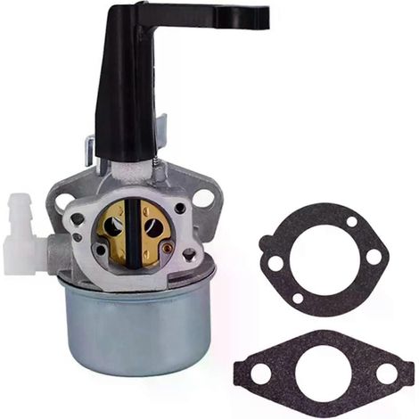 Carburateur compatible avec les moteurs de motoculteurs Briggs & Stratton 696065, 697422, 110402, 110412 et 215369 (pièce de rechange - JXLGV) (1/5)