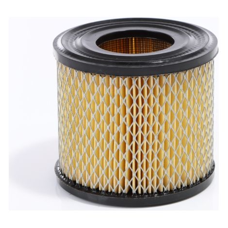 Filtro dell'aria per motore Briggs e Stratton