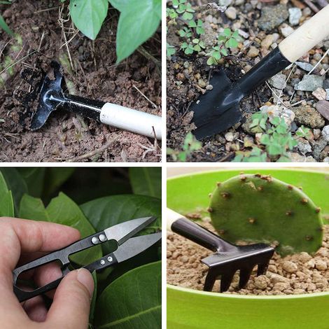 Ensemble de 8 outils pour la plantation et le rempotage de plantes succulentes (1/5)