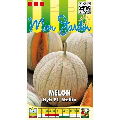 Melon Stellio hyb F1 - 0,2g