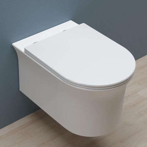 Biubiubath Rimless Wall Hung Toilet Pan WC + Soft Close Seat (1/3)