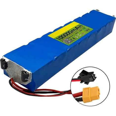 Elektrischer Zweiradfahrzeug-Akkupack, 100Ah Kapazität, intelligente BMS-Funktionen, XT60 SM (1/2)