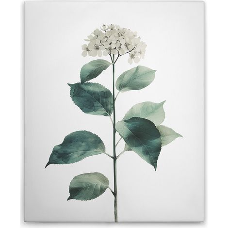 Leinwandbild Hortensie Weiß M1-No.51825 - Kunstdruck auf Leinwand in Weiß Grün - Wandbild 40 x 50 cm (1/5)