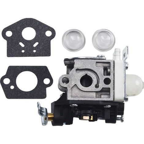 Vergaser kompatibel mit PB-251 ES-255 ES250 PB-250 PB-250LN RB-K90 (1/5)