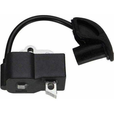 Bobine d'allumage haute performance compatible BR500 BR550 BR600 4282 400 1310 (1/4)