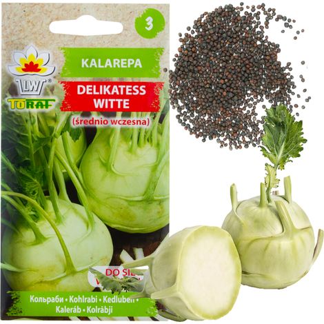 W1073 cavolo rapa semi di cavolo rapa delikatess witte bianco MER all'inizio 2G primavera/estate (1/5)