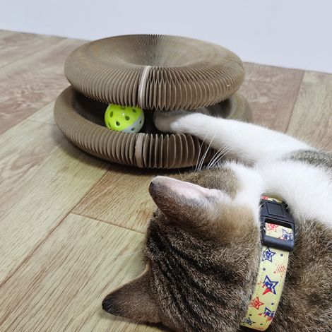 Planche à gratter pliante pour chat, avec cloche de jouet, grattoir interactif, griffe de meulage en carton (1/5)
