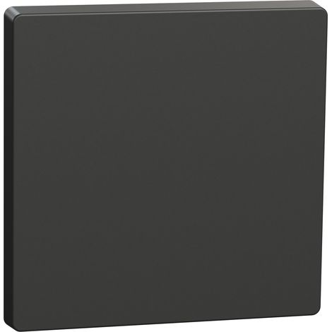 Tecla simple D-Life de Schneider Antracita