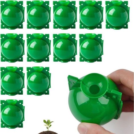 Boîtes D'enracinement Plantes,Plante Balle de Propagation,Boule de Propagation à Haute Pression,pour Plantes Greffage Formation de Racines,10pc Boîte d'enracinement de Plante Balle (Vert, S) (1/5)