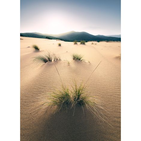 Papier peint panoramique naturel Dunes Vives (1/4)