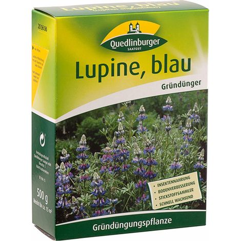 Quedlinburger Gründünger Blaue Lupine Lupinus für ca. 15 m² 500 g - Faltschachtel