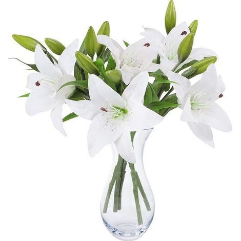 Bouquet Fleur Artificielle Lot de 5 Fausses Fleurs Artificielles Lys en Plastique pour Maison Deco Mariage Champetre Cimetiere Plante Artificielle pour Exterieur Intérieur (Blanc) (1/5)