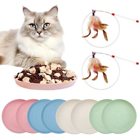Katzennapf – Bunt – Kleiner Katzennapf, Welpennapf – Spülmaschinenfest (1/4)