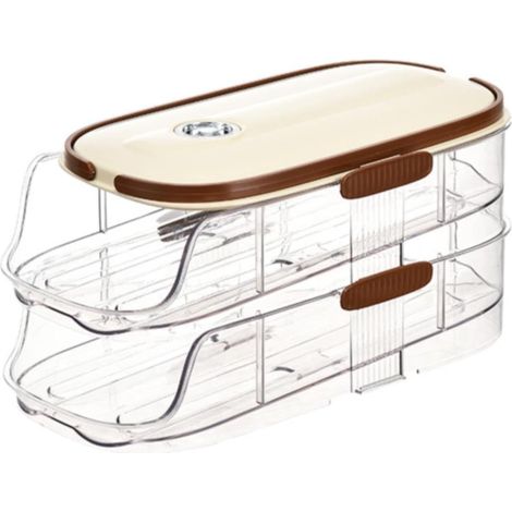 Eierablage für den Kühlschrank, automatischer Eierrollenhalter für den Kühlschrank, platzsparende Eierablage, große Eieraufbewahrungsbox für Kühlschrank, Küche (doppelreihig, 2-lagig)