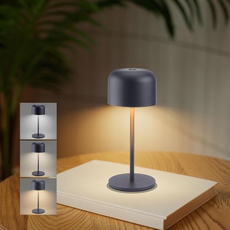 Led Dimmable Lampe De Table Sans Fil Exterieur, 3000K-6000K Petite Lampe De Bureau Rechargeable Avec Câble Usb-C, IP54 Étanche, H29cm, Anthracite, Aluminium, Lumière Chaude/Naturelle/Froide (1/5)