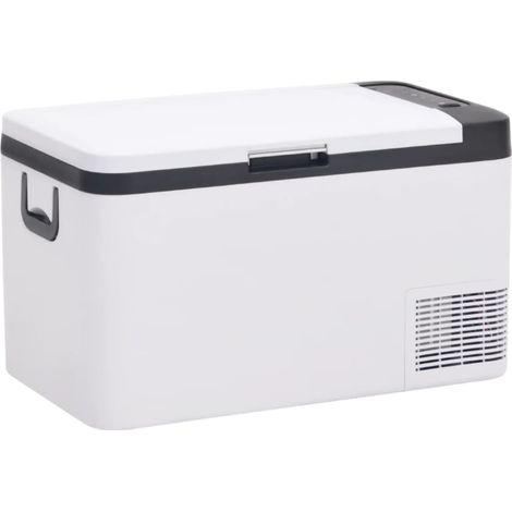Kühlbox mit Tragegriff Schwarz und Weiß 18L PP & PE