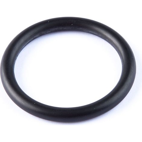 Breiter An-29-Artic-O-Ring (100 Einheiten)