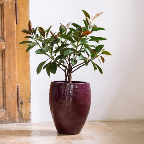Maceta POSEIDON2 46x55cm violeta claro (1/5)