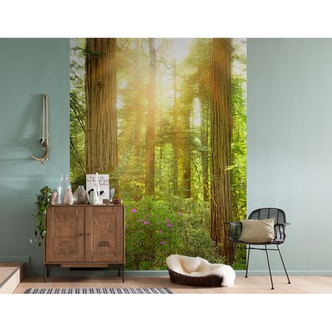 Photo murale - 184 x 248 cm - panoramique intissé - Redwood (1/3)