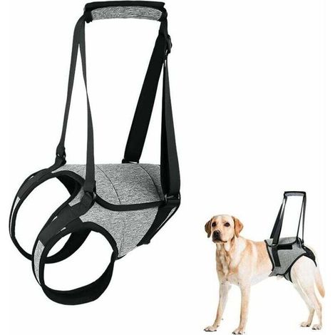 Harnais de soutien arrière pour chien grand modèle XL avec poignée ergonomique – réglable, idéal rééducation post-opératoire (1/5)