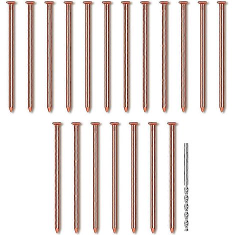 Lot de 25 clous en cuivre pur de 8 cm de long, avec foret, pour la pose de piquets et autres travaux de maçonnerie d'arbres. (1/4)
