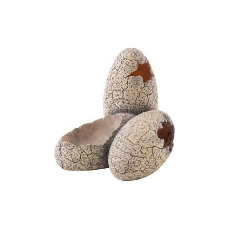 Exo Terra Egg e Dinosaur Bere